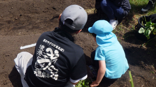 園児とともに苗を植えている様子